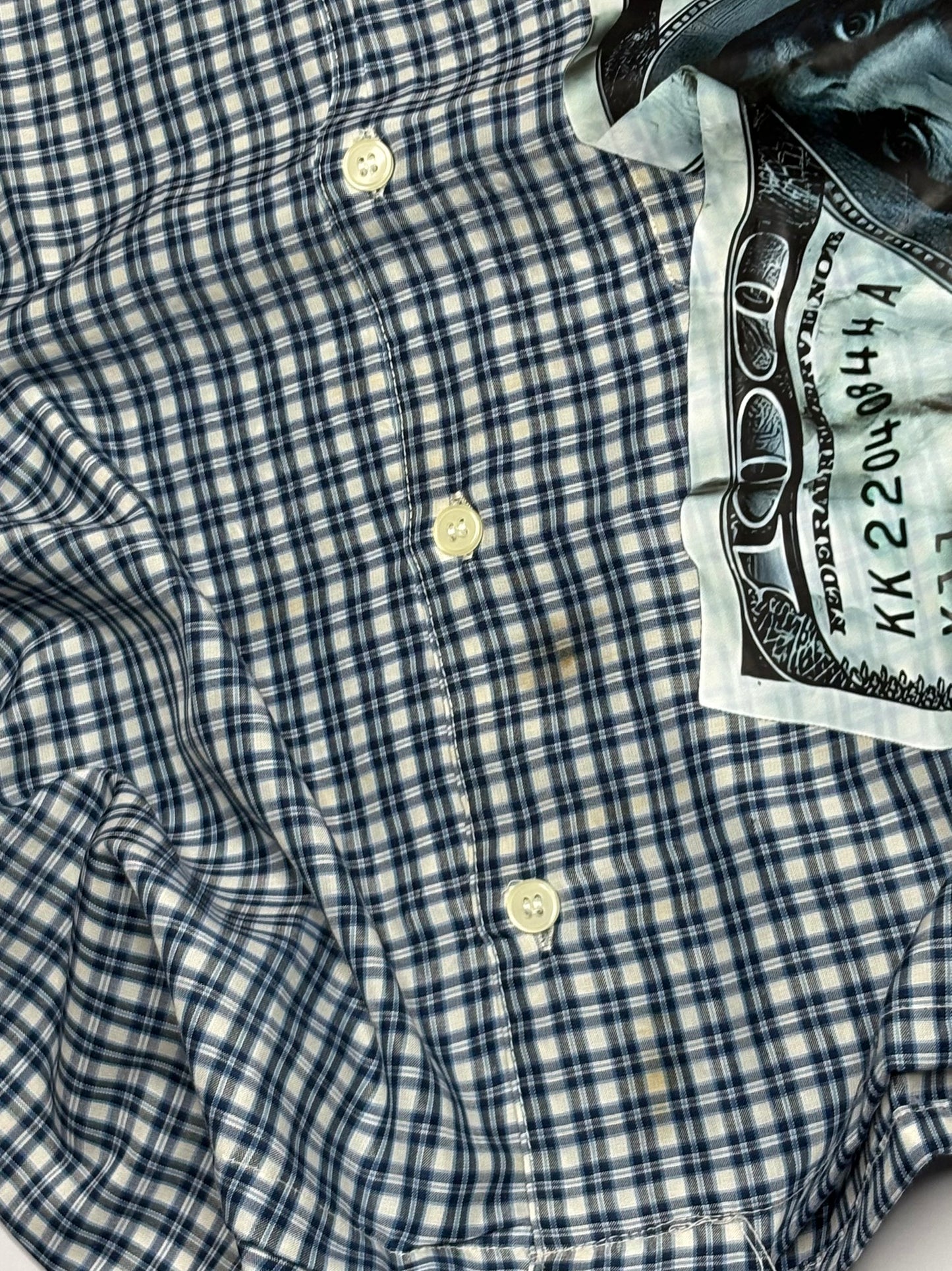 Printed Crop Shirt