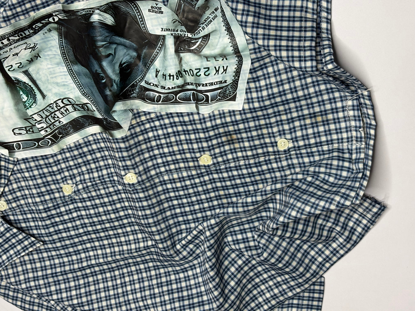 Printed Crop Shirt